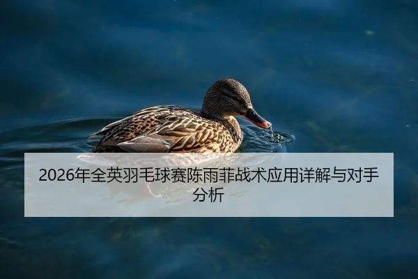 nian-quan-ying-yu-mao-qiu-sai-chen-yu-fei-zhan-shu-ying-yong-xiang-jie-yu-dui-shou-fen-xi-1-237.jpg