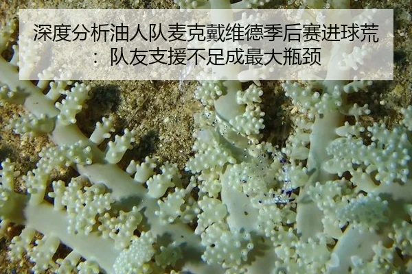 深度分析油人队麦克戴维德季后赛进球荒：队友支援不足成最大瓶颈